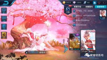 五画皮肤爆料视频大全,视觉盛宴尽在掌握