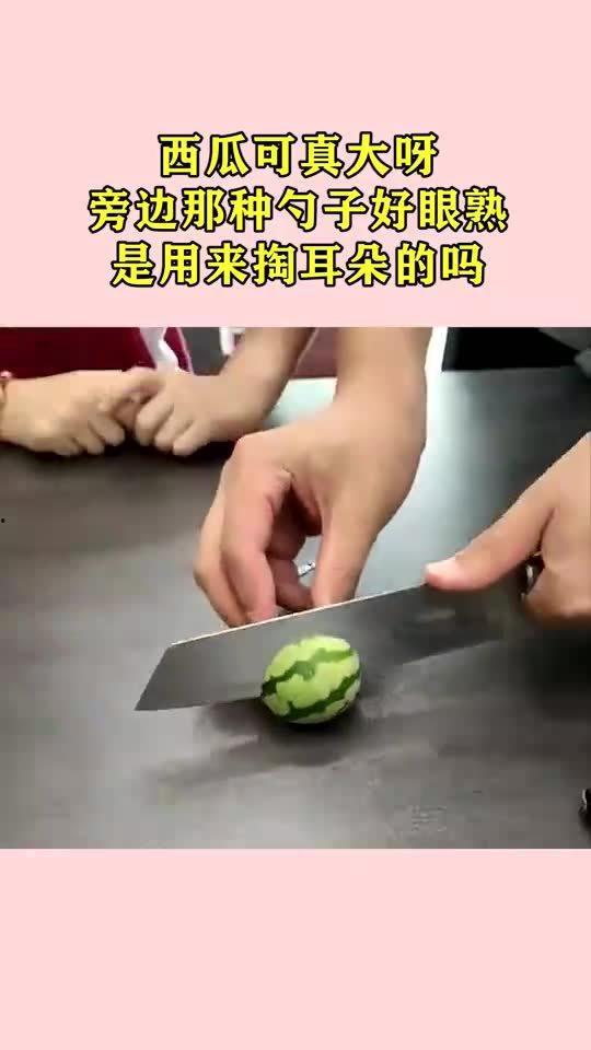 吃瓜勺子好拿,轻松享受夏日清凉时光