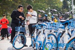 哈罗单车猜明星,哈罗单车带你邂逅明星风采