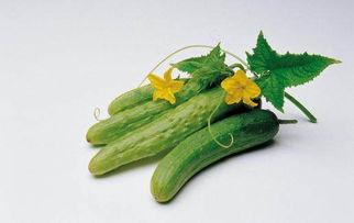 福寿瓜不能跟什么吃