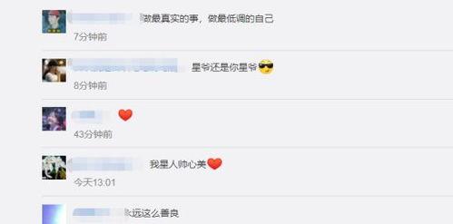 明星稀缺视频网站,明星稀缺视频网站，带你领略明星风采的独特魅力